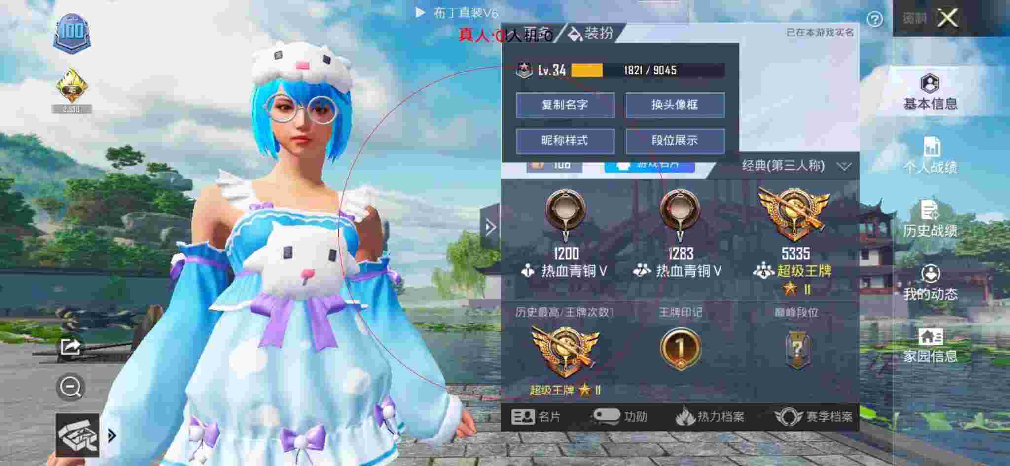 和平精英布丁直装透视 - PUBG发型46图样辅助预览图